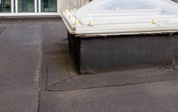 disadvantages of Scale Hall flat roofs