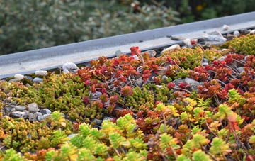 the cost of Scale Hall green roof installation