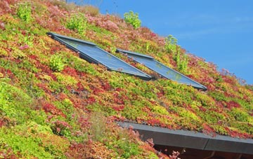 Scale Hall living roof systems